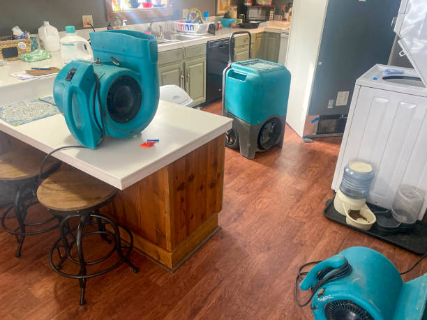 Best Carpet water damage restoration  in Parlier, CA