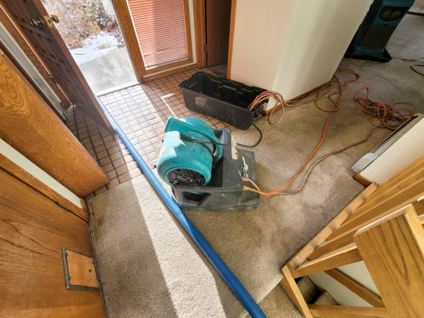 Best Flooded house restoration  in Parlier, CA