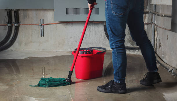 Best Carpet water damage restoration  in Parlier, CA