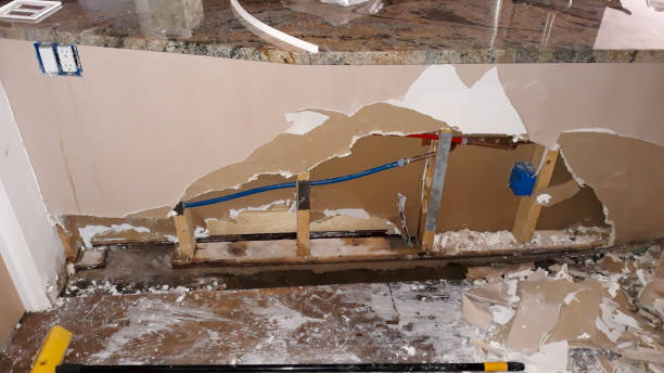 Best Fire Damage Restoration  in Parlier, CA