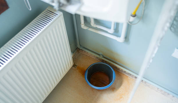 Best Local water damage restoration  in Parlier, CA